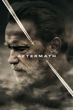 Watch Aftermath (2017)