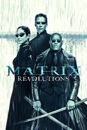 Watching Matrix Revolutions (2003)