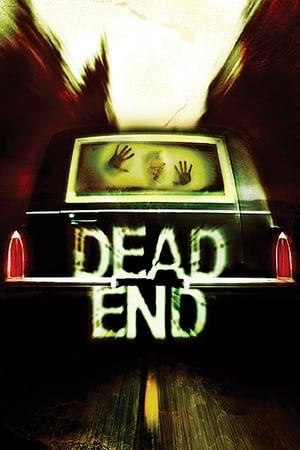 Streaming Dead End (2003)