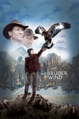 Watching Wie Brüder im Wind (2015)
