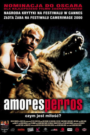 Amores perros (2000)
