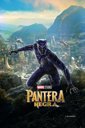 Pantera Negra (2018)