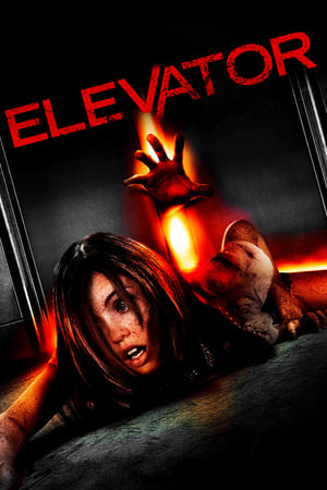 Streaming Elevator (2011)
