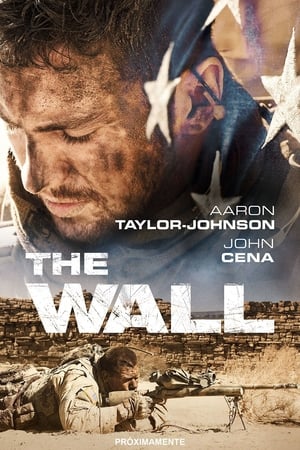 Streaming The Wall (2017)
