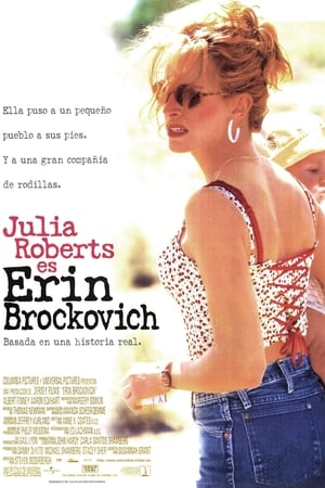 Watch Erin Brockovich (2000)