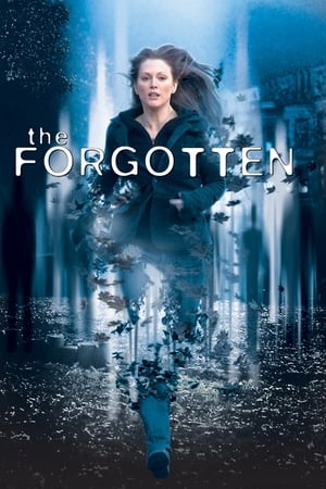 Watching The Forgotten (2004)