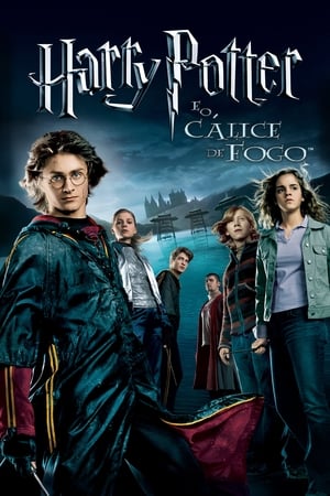 Harry Potter e o Cálice de Fogo (2005)