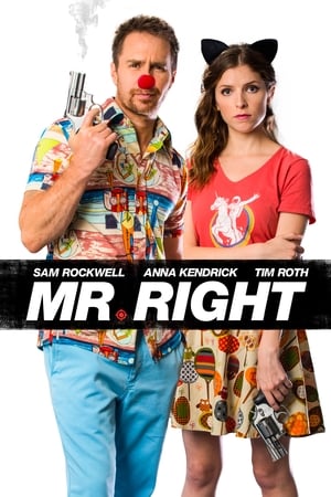 Watching Mr. Right (2016)