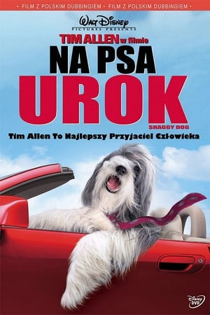 Streaming Na psa urok (2006)