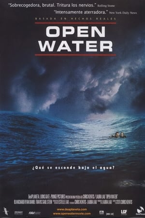 Watching Open Water (2004)