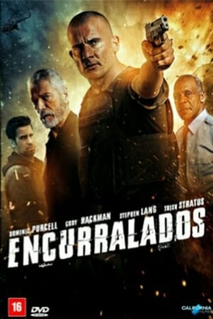 Encurralados (2016)