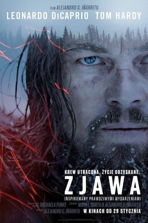 Watch Zjawa (2015)