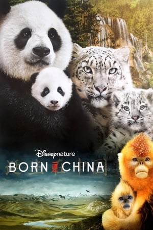Play Online Born in China (2016)
