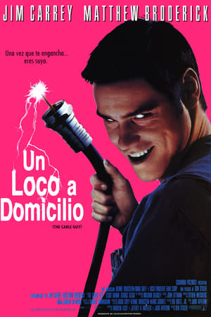 Stream Un loco a domicilio (1996)