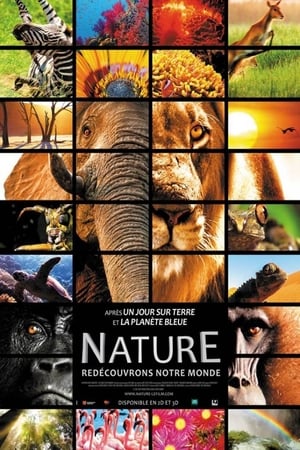 Play Online Nature (2014)