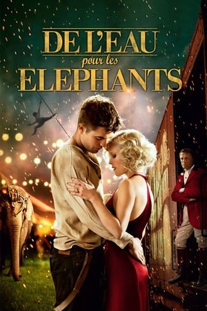 De l'Eau pour les Éléphants (2011)