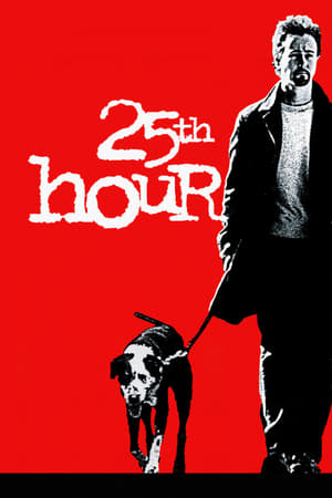 Stream 25th Hour (2002)