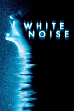 Streaming White Noise - Schreie aus dem Jenseits (2005)