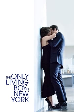 Streaming The Only Living Boy in New York (2017)