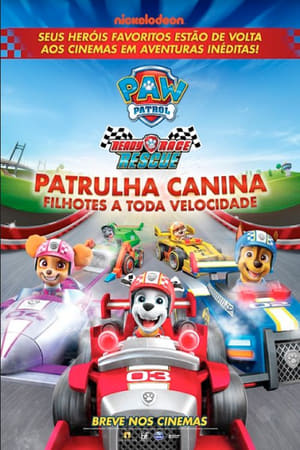 Watching Paw Patrol: Ready, Race, Rescue! (2019)