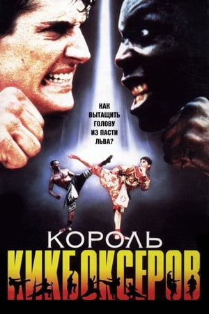 Король кикбоксеров (1990)