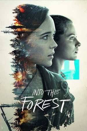 Streaming Into the Forest (2016)