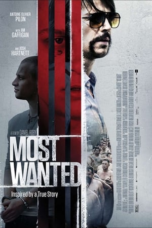 Watch Most Wanted (2020)