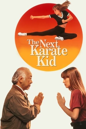 Stream The Next Karate Kid (1994)