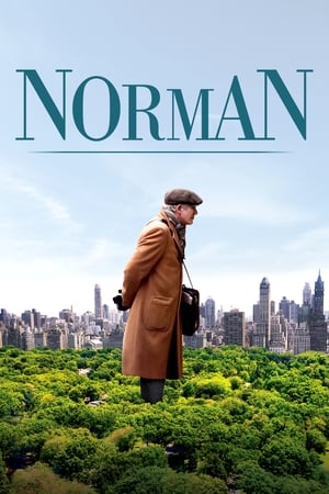 Norman: The Moderate Rise and Tragic Fall of a New York Fixer (2017)