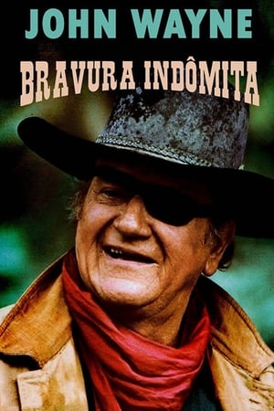 Stream Bravura Indômita (1969)