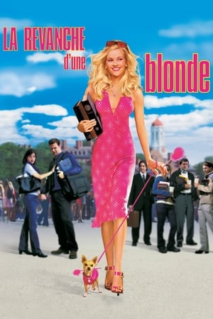 La Revanche d'une blonde (2001)
