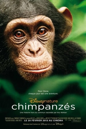 Play Online Chimpanzés (2012)