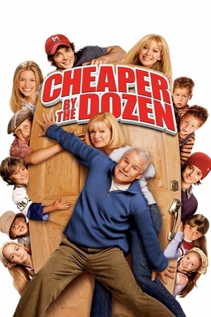 Watching Cheaper by the Dozen (2003)