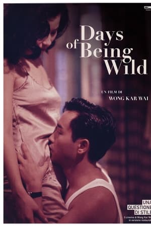Watch Days of Being Wild (1990)