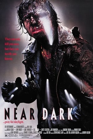 Watch Near Dark - Die Nacht hat ihren Preis (1987)