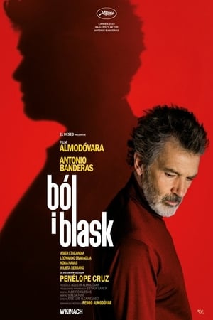 Watching Ból i blask (2019)