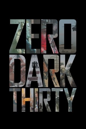 Play Online Zero Dark Thirty (2012)