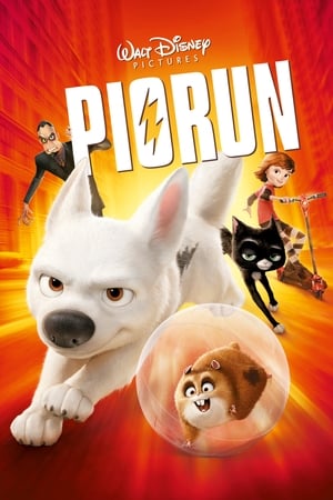 Watching Piorun (2008)