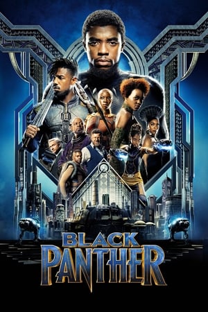 Watching Black Panther (2018)