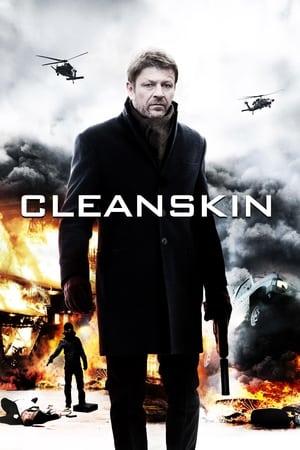 Cleanskin - Bis zum Anschlag (2012)