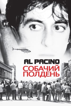 Watch Собачий полдень (1975)