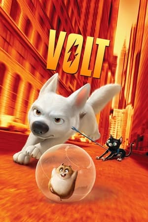 Watching Volt, star malgré lui (2008)