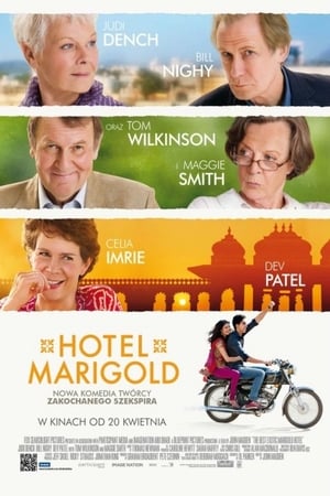 Watching Hotel Marigold (2011)