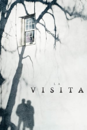 Watching La visita (2015)