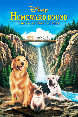 Watching Homeward Bound: The Incredible Journey (1993)