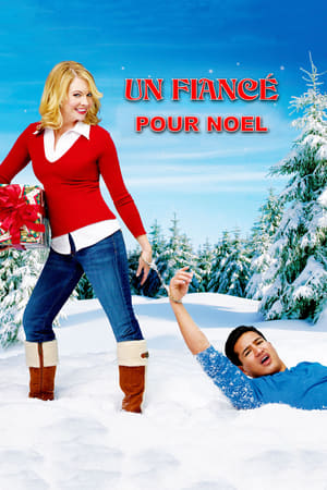 Stream Un fiancé pour Noël (2007)
