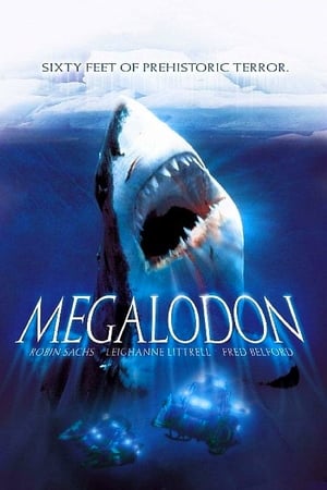 Streaming Megalodon (2004)