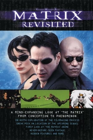 Matrix - Rückblicke, Einblicke, Ausblicke (2001)