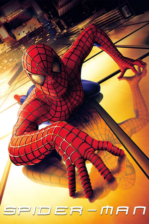 Watching Spider-Man (2002)