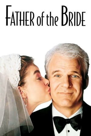 Play Online Father of the Bride (1991)